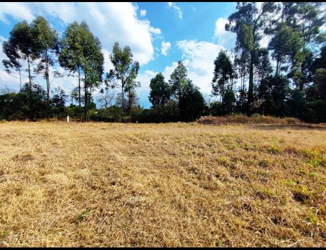 LAND FOR SALE IN GREENDALE